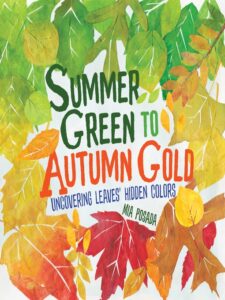 SUMMER GREEN TO AUTUMN GOLD: UNCOVERING LEAVES' HIDDEN COLORS